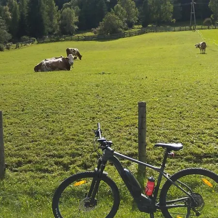 Schreilechner